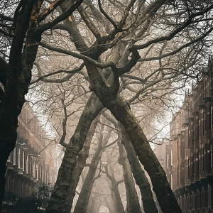 被风雕刻的街道，来自苏步青云