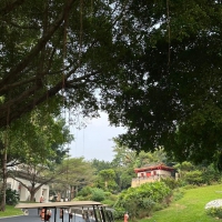 锈迹新生丨高线公园，后工业景观的教科书