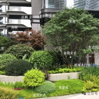 20个单元入口花境案例分享，总有一款你喜欢