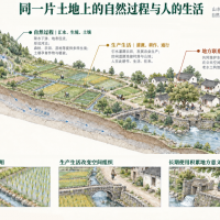风景园林为什么被称为“生存的艺术”？