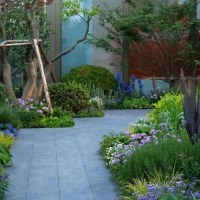 8个步骤教你如果打造高级氛围感花境（附189常用花境植物清单）