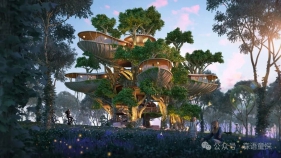 从鸟巢到生态建筑：“林间之巢”的设计理念如何实现人与自然的和谐共生