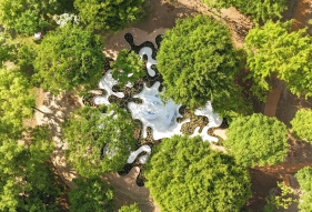 面对极端天气，韧性花园才是温柔的“气候解药”