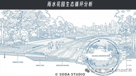 有了banana，景观分析图真的可以放开了出…