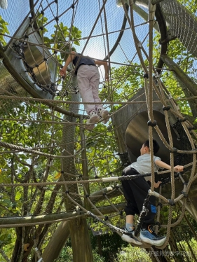 园林妈妈看设计02：新加坡是怎么把儿童游戏场长进植物园里？我来拆解COMO Adventure G