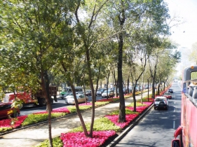 道路景观设计怎么破？看这里就够了！         易地景观 易地景观        上海易地联盈