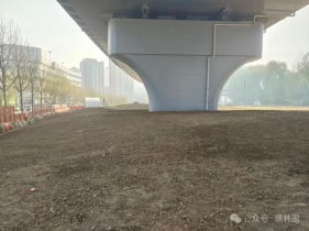 紧急求助！城市高架桥下不见光、不淋雨，到底种什么植物能活？求网友支棱起来
