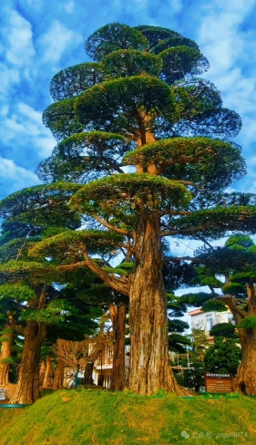 零碳工厂怎么建？汽车、光伏等行业先行，与绿色工厂不同