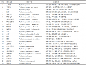 竹藤研究 | 安徽黄山区刚竹属野生竹类资源调查