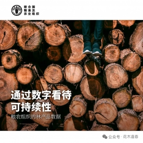 粮农组织的林产品数据