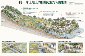 风景园林为什么被称为“生存的艺术”？