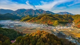 《全国林下经济发展指南（2021—2030年）》全文下载