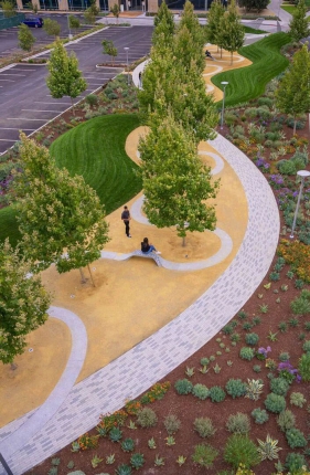 停车场里的别样空间