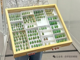 谁将引领AI（人工智能）在昆虫学中的应用