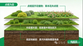 屋顶绿化植物选择技术指南：让植物在屋顶"安家落户"的5大原则