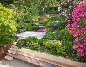 台阶上的花园，种植上大分