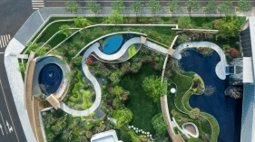 曲线or折线，你更中意哪种呢？