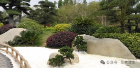 上合会议期间，梅江主节点花境建造过程