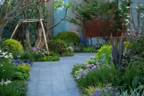 8个步骤教你如果打造高级氛围感花境（附189常用花境植物清单）