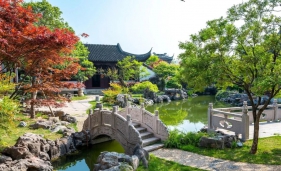 从“一技傍身”到“万物生长”——风景园林领域“一人公司”创业者的生存密码