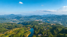 2026林下经济发展指南｜二十项林下潜力项目深度拆解