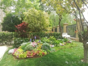 那些年做过的花境探索！实践+理论..