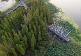 国家敲定“以竹代塑”三年计划，这是一盘大棋，背后深意很多人还是没看懂