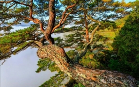 封面故事 | “双碳”五周年地方观察：低碳实践引领绿色转型