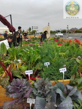 【可食花园14】——园建那些事（从一块场地开始）