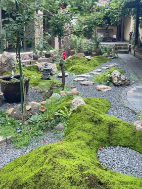 农村院子只知道打水泥？看看南方人的微地形设计，用废土堆个小山坡，层次感瞬间就出来