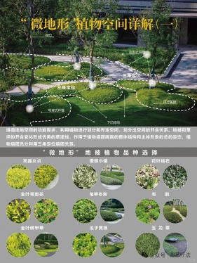 【花园管家】植物空间详解——微地形