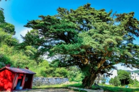 一文说清“碳足迹、碳标签与碳标识”联系与区别，附关键政策标准文件下载链接