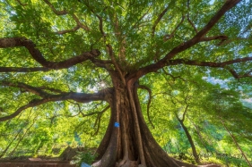 辛升：零碳园区建设需着力破解三个瓶颈丨美丽中国·零碳洞察