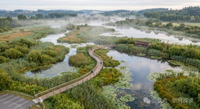 别说你不会了！风景园林AI效果图·保姆级教程，终于来了