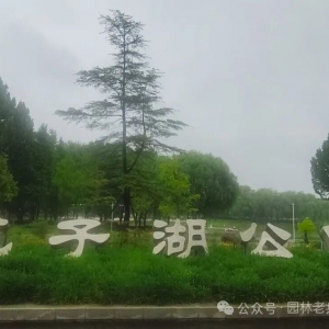 公园运营的一些想法（3空间规划设计）