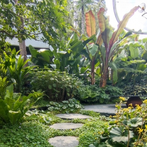 五大主题景观植物体系特点概述