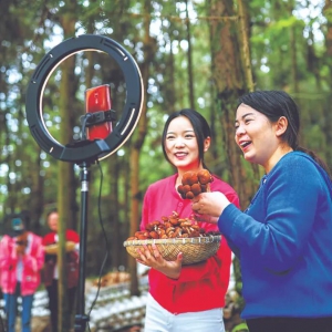“发展林下经济”的深层逻辑——林业专家谈发展林下经济做强森林食物产业 ...