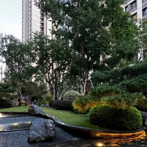 园林植物四季养护技术规范