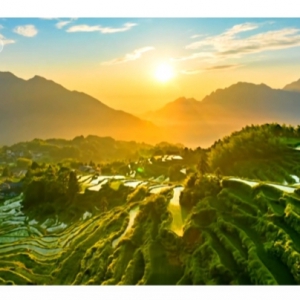 《林下万物生》第4集：茂荫藏珍 | 自然中国