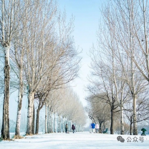 50个行业碳中和难题及突破