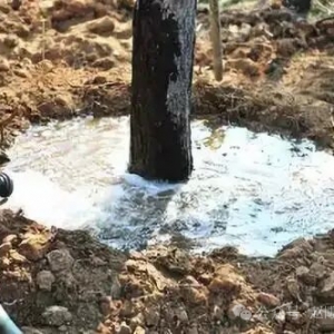 园林绿化封冻水的概念和技术要点