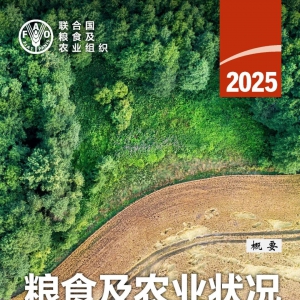《2025年粮食及农业状况概要