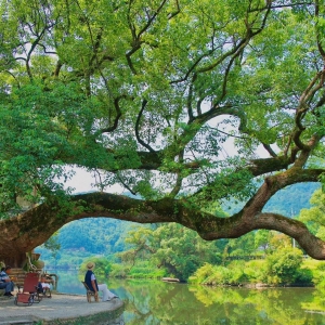 双碳基础知识：能耗双控转向碳排放双控，从“管用量”到“管排量”的转变 ...