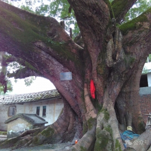 新版 产品碳足迹国家政策及标准汇编