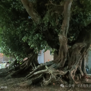 产品碳足迹管理体系建设进展报告(2025)