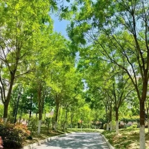 住宅物业园林绿化养护标准、规范、月历和管理细则