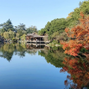 农业的未来，是数据——从“数字农业小模型”，看下一代农场的组织方式 ...