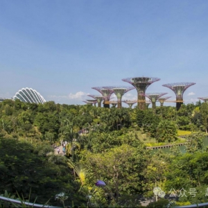 园林绿化养护指导书