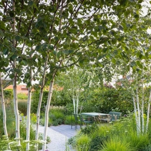 林下空间｜55个超有设计感案例分享