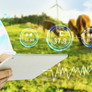 农业遇上AI：数字化浪潮中的智慧农牧“全景图”